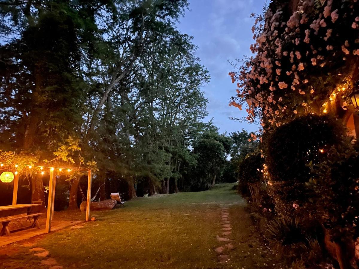 볼세나 Collina Blu B&B 외부 사진